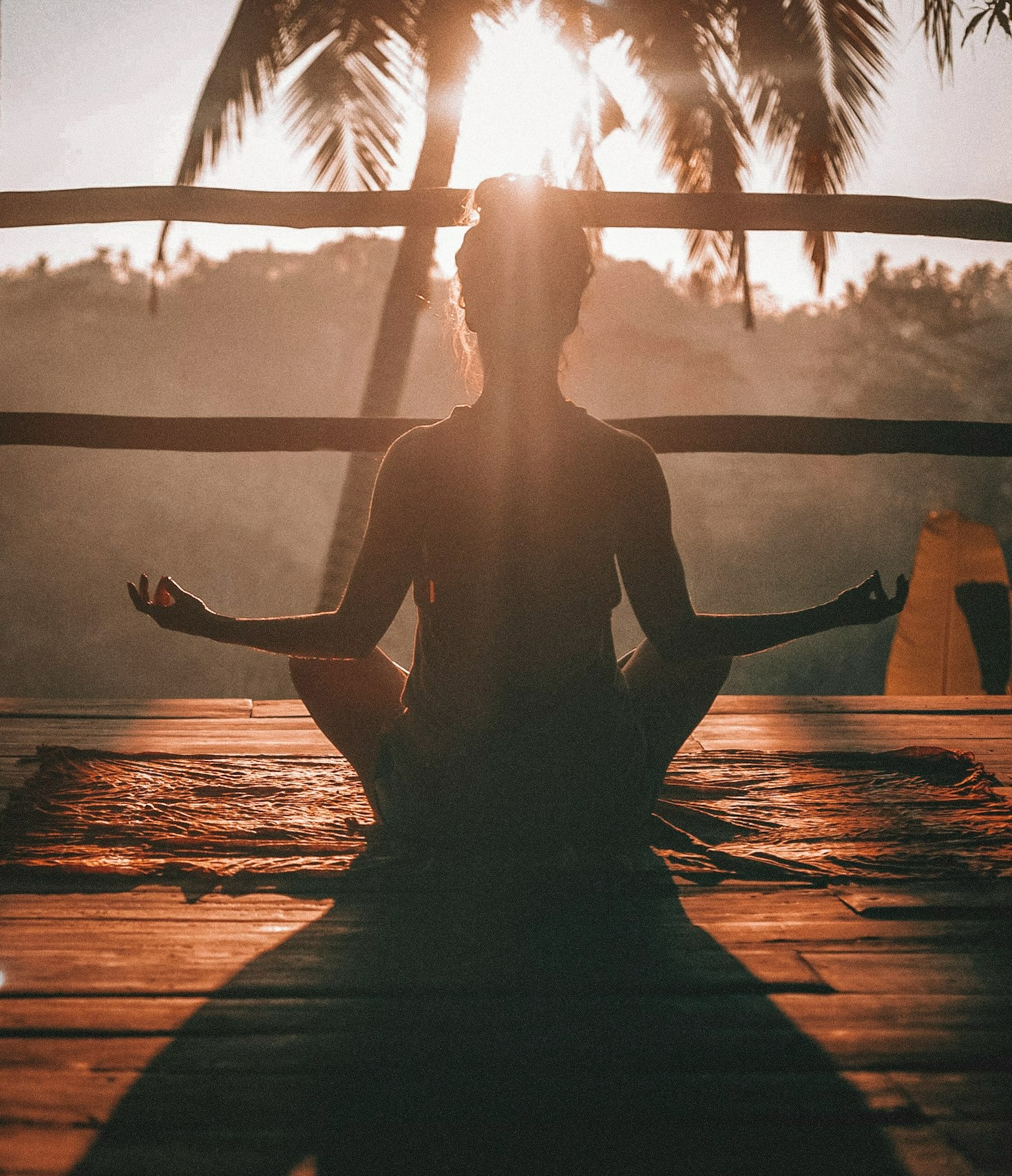 Understanding the Science Behind Fitness Success